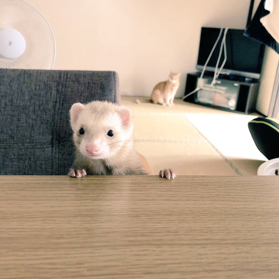 ひめのカバー写真