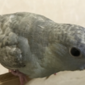 決まりました