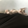 2018/09/29