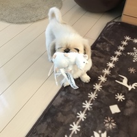 大福