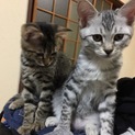 大切にしてくださる方。