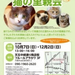 みやママ＆ちか　猫の里親会 サムネイル1