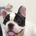 《大切にしてくれる方》1歳5ヶ月の甘えん坊