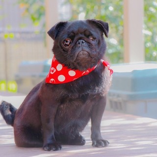 人が大好き 小粒なうのちゃん