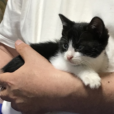 1回目予防接種も終り、ゲージ隔離から解放されて