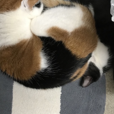 1番上のゆずとは、こんな感じに(*´꒳`*)