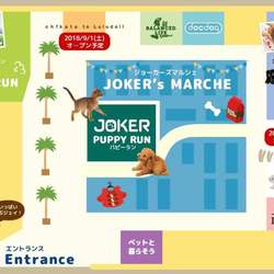 ペットと暮らそう！お台場ヴィーナスフォート譲渡会 サムネイル2