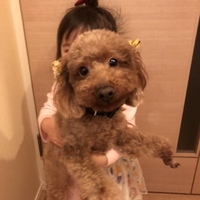 ライダー