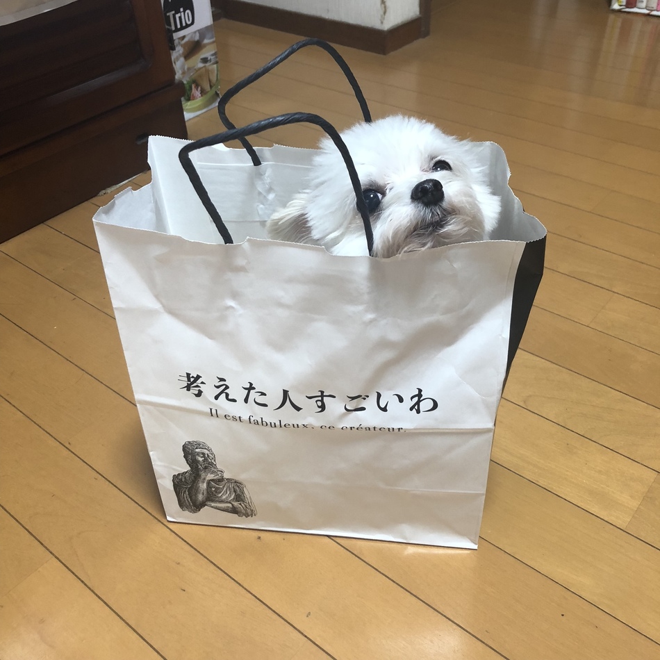 あるのカバー写真