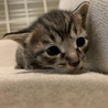 生後二週間の時