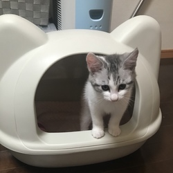 おとめちゃんの小部屋♡