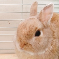 ぴたすけ