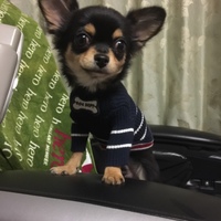 レオン