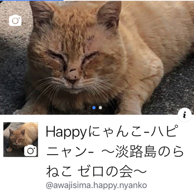 Happyにゃんこ-ハピニャン- 淡路島のらねこ ゼロの会　担当　西川のカバー写真