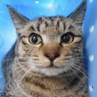 愛護団体様が引き出して下さいました。