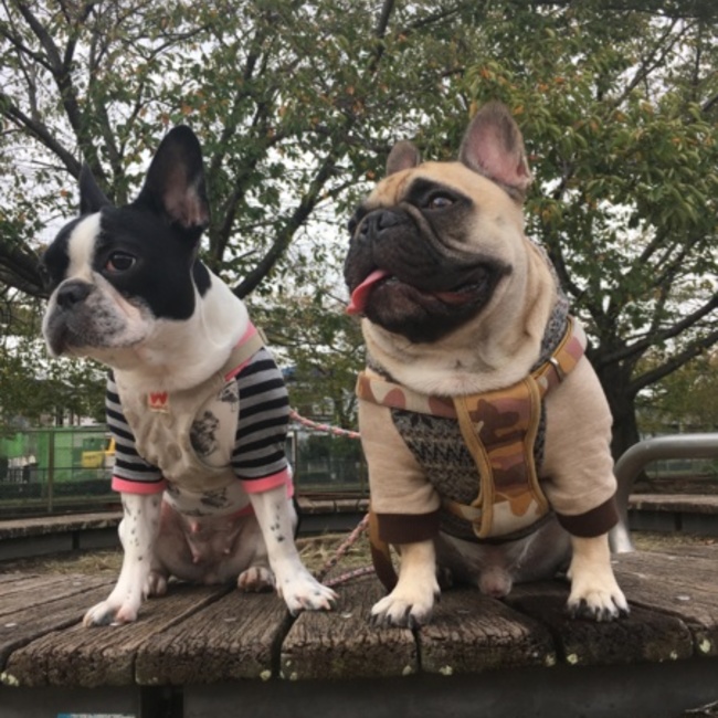 レイルママのカバー写真