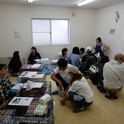 いつもへそ天　猫の譲渡会 サムネイル3