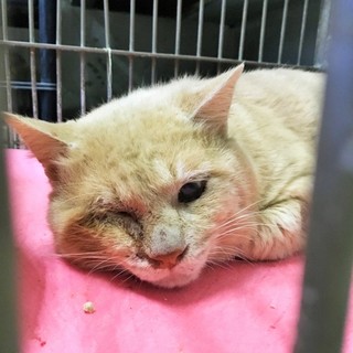 センターより無事引き出されています