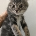 マーブル模様の男の子