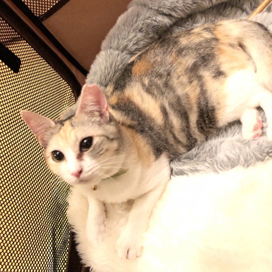 みかげのカバー写真