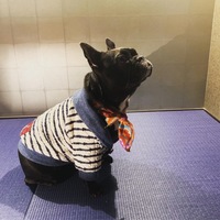 スリーズ