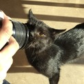 とにかく甘えん坊！