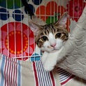 僕本当に良い子です(=^ェ^=)
