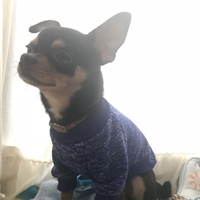 かぷ