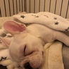 New in bed.....♡