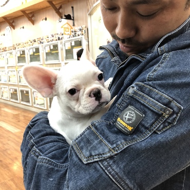 ししまる、お迎え♡