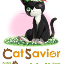 にゃんこ譲渡会inたまねこ