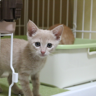 可愛い兄妹です