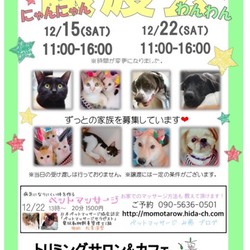 わんわん譲渡会★in岐阜市
