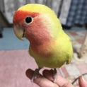 多数のご応募、誠にありがとうございました。