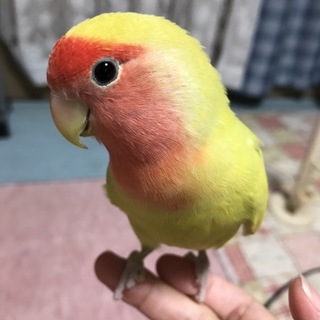 多数のご応募、誠にありがとうございました。