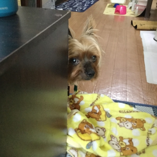 とちおさんのカバー写真