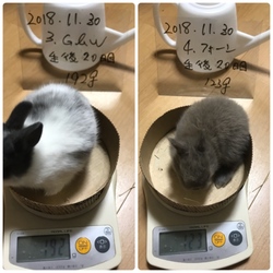 「生後20日目」サムネイル2