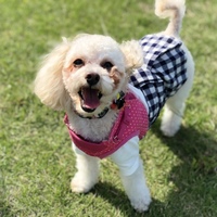 山口モナ