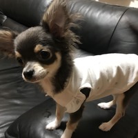 ベル