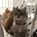 キュート‼︎可愛い兄妹