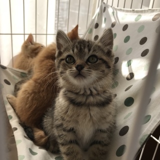 キュート‼︎可愛い兄妹