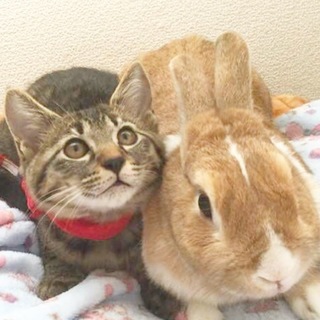 素晴らしいご縁になりました❣️感謝❣️