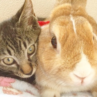 素晴らしいパパママに出逢えました❣️感謝❣️