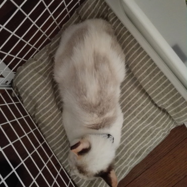の写真