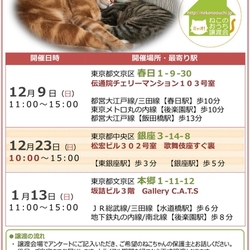 12月9 (日)第46回★ミャオ!ねこのおうち譲渡会★文京区春日