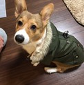 一旦、募集終了致します。