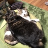 むじゃくん…重いよ…