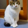 の写真