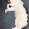 の写真