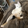 こぉさん